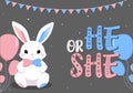 Baby Shower or gender party card. invitation gender party. Cute bunny and balloons